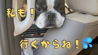 お出かけの時は置いていかれないようにいつも必死w