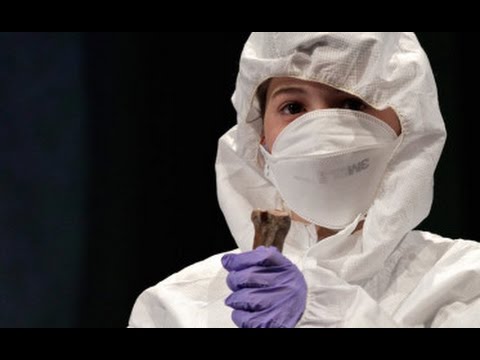 Cool Jobs: Ancient DNA Detective