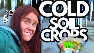 What to Plant in Cold Soil (And What Will Fail at 5°C)