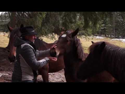 Pfunds-Kerle / Noriker Lied