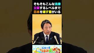 国旗損壊罪を語る榛葉賀津也幹事長