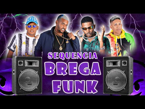 SEQUENCIA BREGA FUNK -  AS MAIS TOCADAS ABRIL 2024