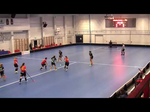 Maalikooste FBC Loisto - SalBa ja Stickline 03.11.2019