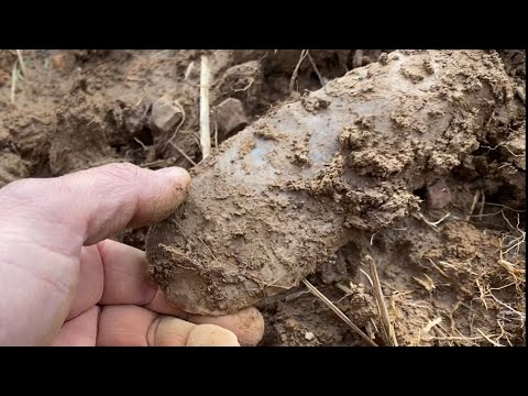 Artifact hunting TN - The untouched field. Artifacts laying everywhere!
