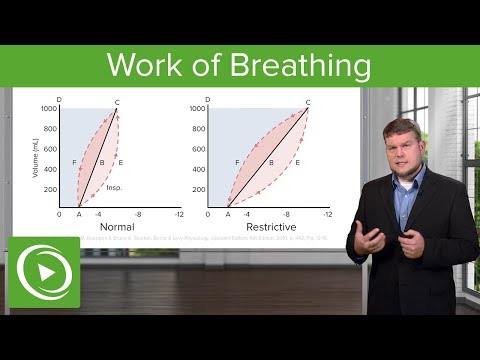Work of Breathing: Breathing and Lung Mechanics – Physiology | Lecturio