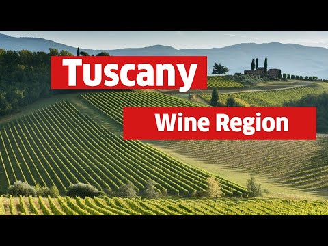 Tuscany Italy Wine Region: A Journey Through Italy’s Iconic Wine Region