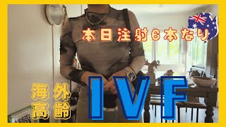 海外体外受精久々の１人通院　ー採卵前検診ー
