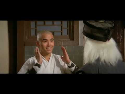 Mistr Shaolin kung-fu Film