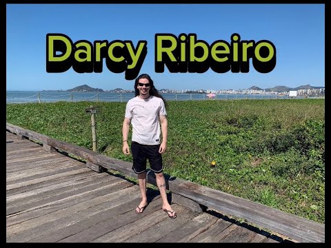 Sociologia no Brasil