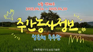 ✨[ 주간농사정보 ] 4월 3째주 (2025. 04. 14. ~ 04. 20.)