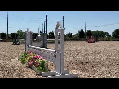 Kartouche du Houmier video 1