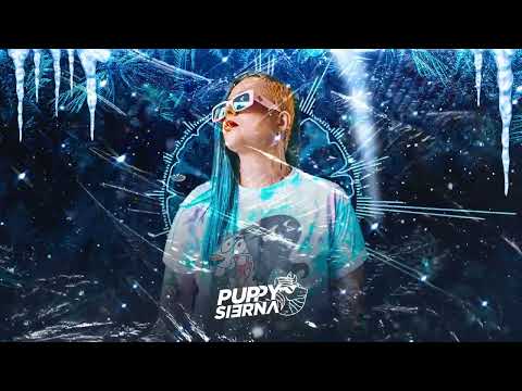 FROZEN SET CHILE❄️ PUPPY SIERNA ☃️SALA 68🦄 #GUARACHA MIX 2022 #zapateo