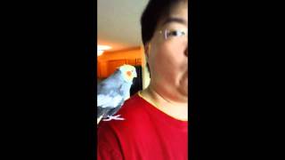 One winged angel on my shoulder....