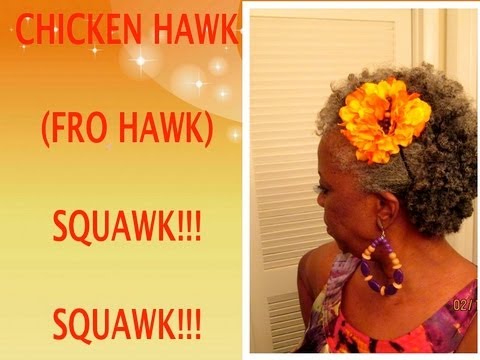 Chicken Hawk (Fro Hawk) - Squawk! Squawk! - 19