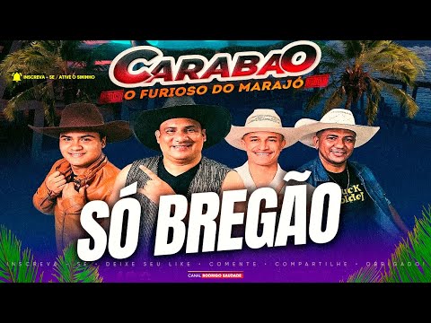 CARABAO SÓ BREGÃO I CARABAO MARCANTES I CARABAO SAUDADE I DJ DJ SILVINHO NOVO CARABAO 2025 NA VIA SH