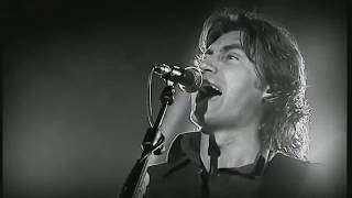 Ligabue discorso FIGLIO DI UN CANE