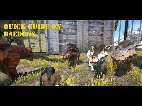 Quick Guide on Daedons