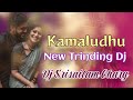 Kamalu Vadu Buttalau Vadu Dj Srisailam Chary