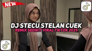 Download lagu DJ KALO NONA SUKA JANG BUANG MUKA - STECU STELAN CUEK BARU MALU VIRAL TIKTOK 2025 mp3