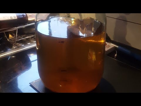 download lagu mp3 mp4 Honey Infused Moonshine, download lagu Honey Infused Moonshine gratis, unduh video klip Honey Infused Moonshine