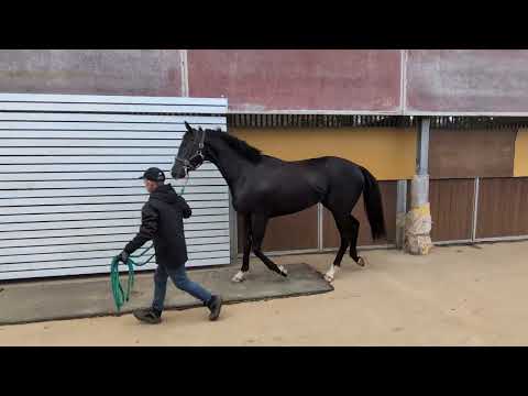 {{itemName}}_video_thumbnail