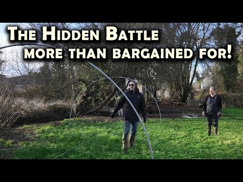 The Hidden Battle Behind Our Polytunnel Location: Future Homestead On One Acre of Land