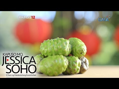 Kapuso Mo, Jessica Soho: Noni Fruit: Gamot o Lason?