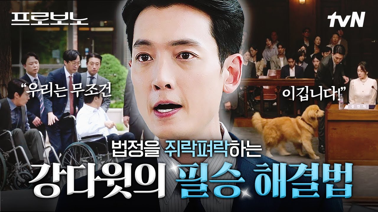 [#프로보노] 강다윗이 프로보노 팀을 승리로 이끄는 방법은❓❗ 승리를 위해서라면 어떻게든 방법을 찾아