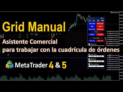 Video Grid Manual MT5
