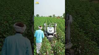 Download lagu Soft cotton, smart harvest 🌾🤖In the heart of Gujarat a robotic cotton mp3 Download lagu Soft cotton, smart harvest 🌾🤖In the heart of Gujarat a robotic cotton mp3