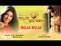 A R Rahman Roja Roja Pseudo Video