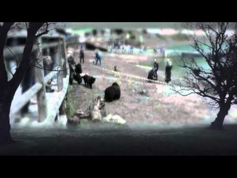 una giornata a Pontechianale dimostrazione  (Created with @