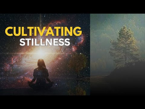 Cultivating stillness