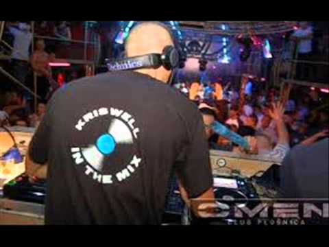 Briard - We Making Love Tonight (KRISWELL mashup remix)