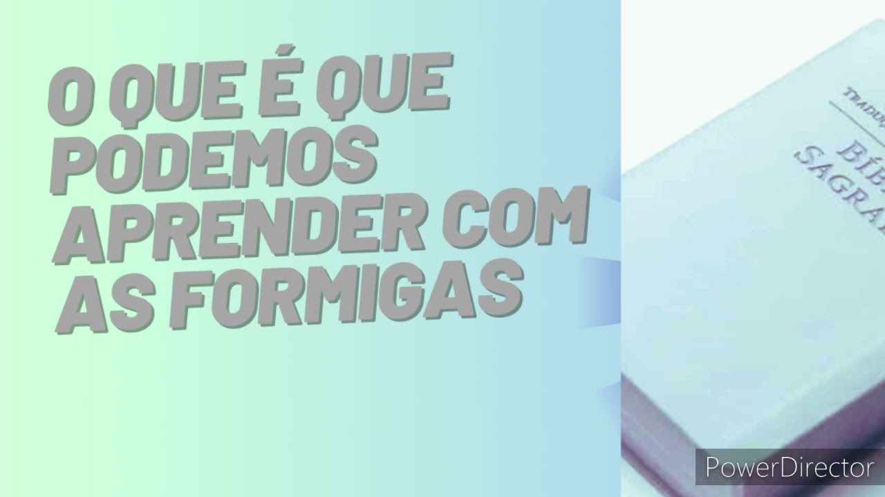 DISCURSO: O QUE É QUE APRENDEMOS COM AS FORMIGAS