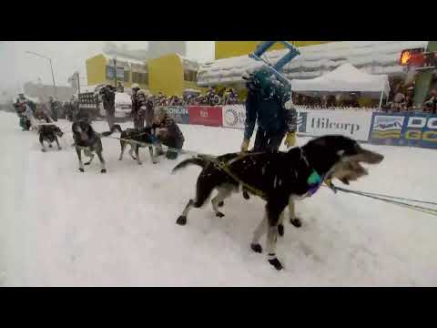 IDITAROD 2022 / INÍCIO CERIMONIAL / QRILL PAWS AO VIVO