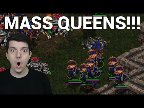 FANTASY'S RETURN vs Zerg Strategic Leader Soma!