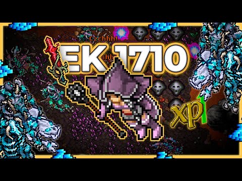 EK 1710 Hunt x4 Unhallowed Crypt 19.9kk/h Raw + 7.5kk Profit - Tibia Hunt [15.13]