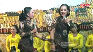 Download lagu Mimin apri pancen nggleleng tenan mp3 Download lagu Mimin apri pancen nggleleng tenan mp3