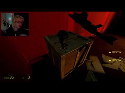 Zapis Live 24.02.2021 - Eleven,Kitsune,Strix - Half-Life 2