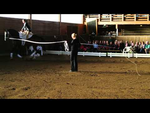 Mirjam Schüler - Einzel M Königsborn - Landesmeisterschaft 2014 Zerbst - Kür