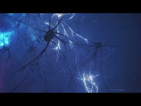 Listen to these 11 seconds and all the blessings of the universe will come to you - total miracles