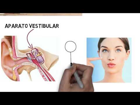 Sistemas Sensoriales