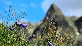 Morning Relaxing Music - Piano Music, Yoga Music, Stress Relief, Massage Music, Study Music (Oscar)