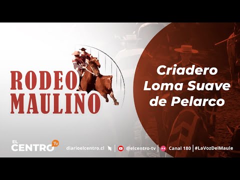 Rodeo Maulino | Criadero Loma Suave de Pelarco