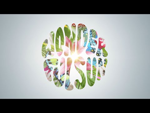 Used - Wonderful Sun (Official Video)