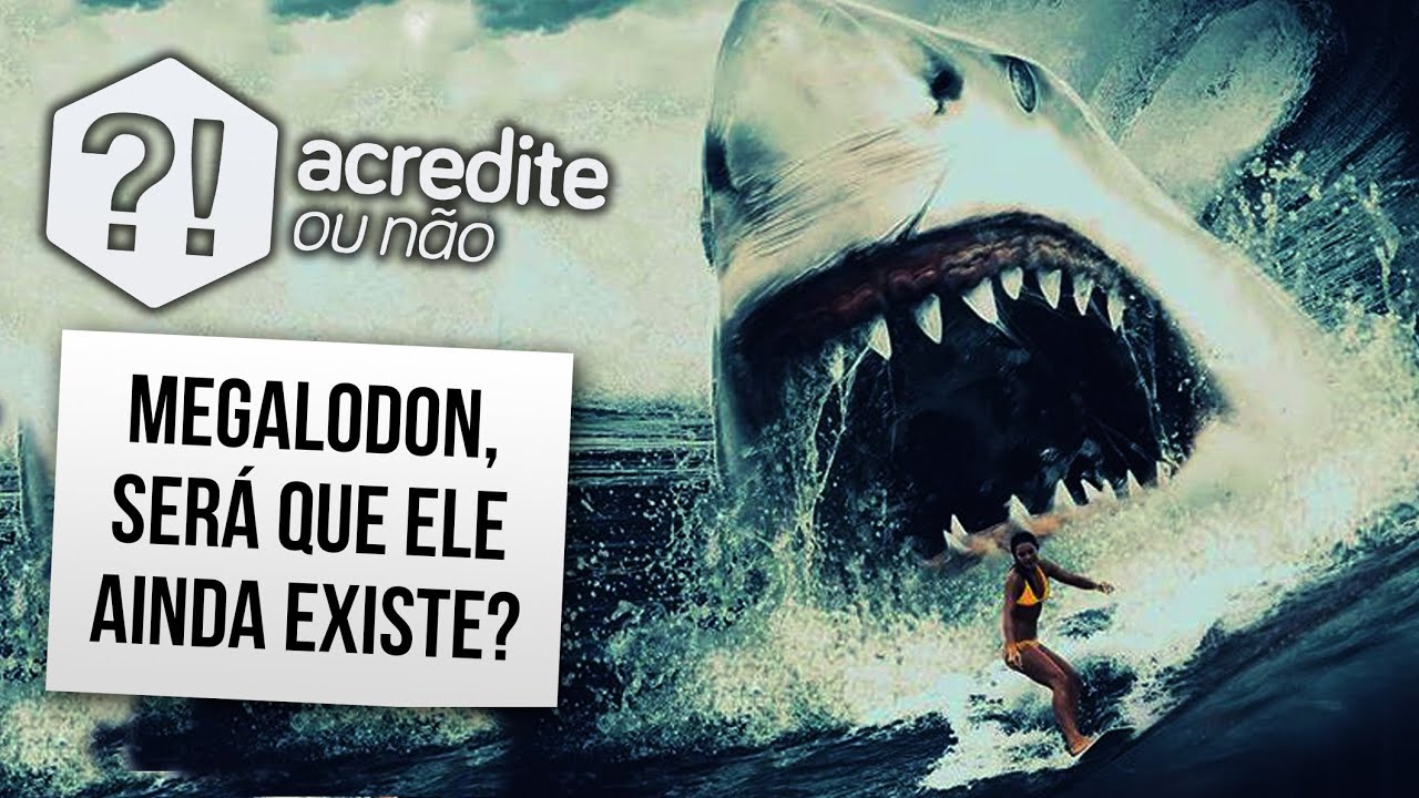 O MEGALODON AINDA EXISTE?