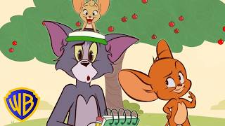Teach Tom to Count! 😸✏️ | Learning with Tom & Jerry | @wbkids