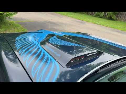 1981 Pontiac Firebird Trans Am (CC-1847787) for sale in Milford, Ohio