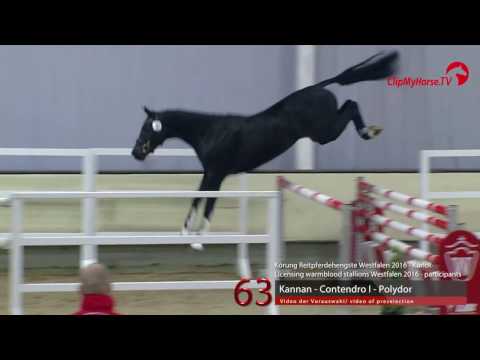 63  Kannan - Contendro I - Polydor